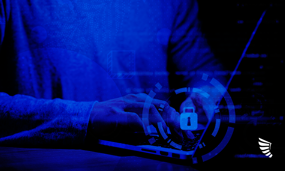 A importância da segurança e privacidade de dados.